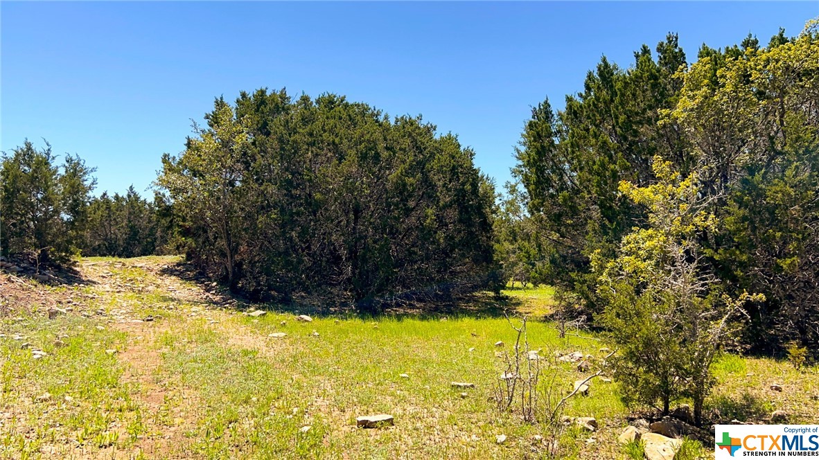 0 Cr 223 Property Photo 36