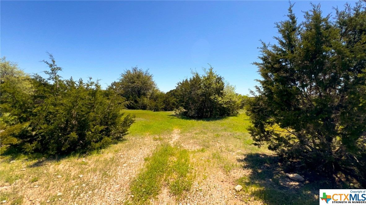 0 Cr 223 Property Photo 41