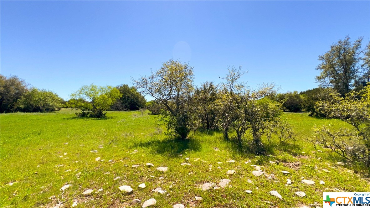0 Cr 223 Property Photo 43