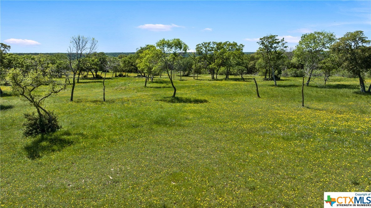 Lot 4, Block 3 Camp Ct. Property Photo 12