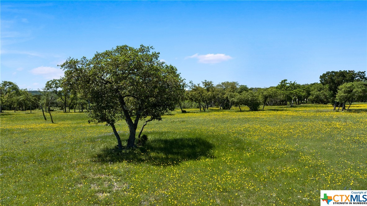 Lot 4, Block 3 Camp Ct. Property Photo 19