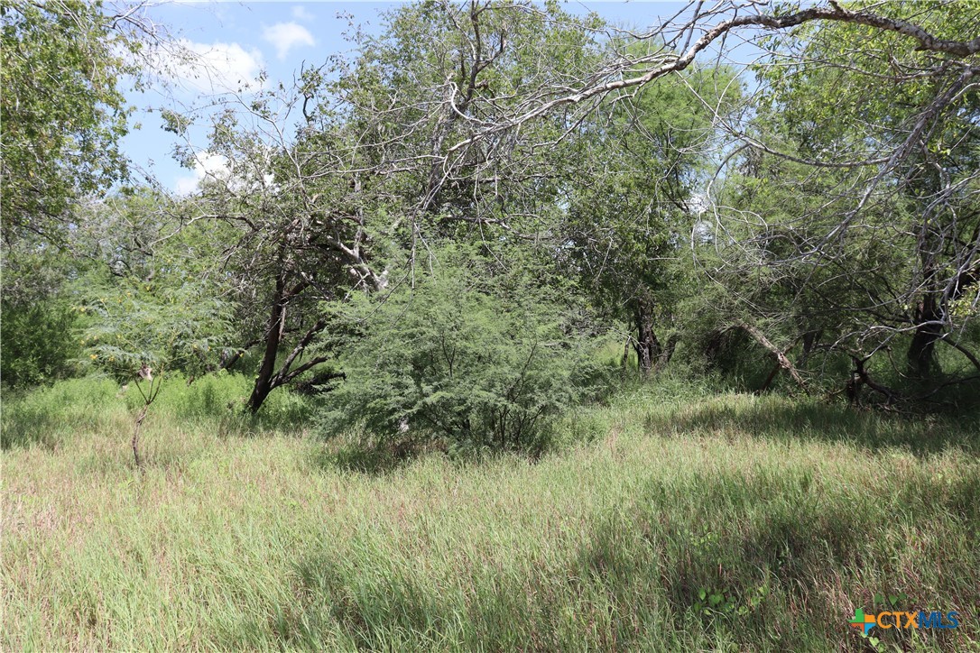 Tbd Cr 1144 3 Property Photo 19