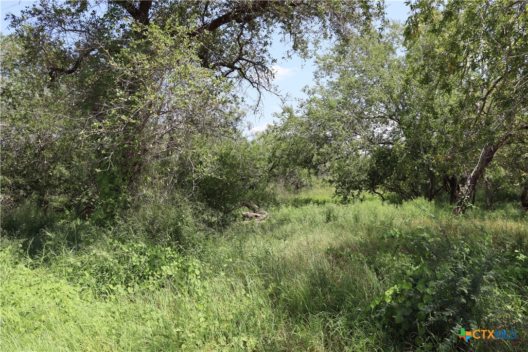Tbd Cr 1144 3 Property Photo 21