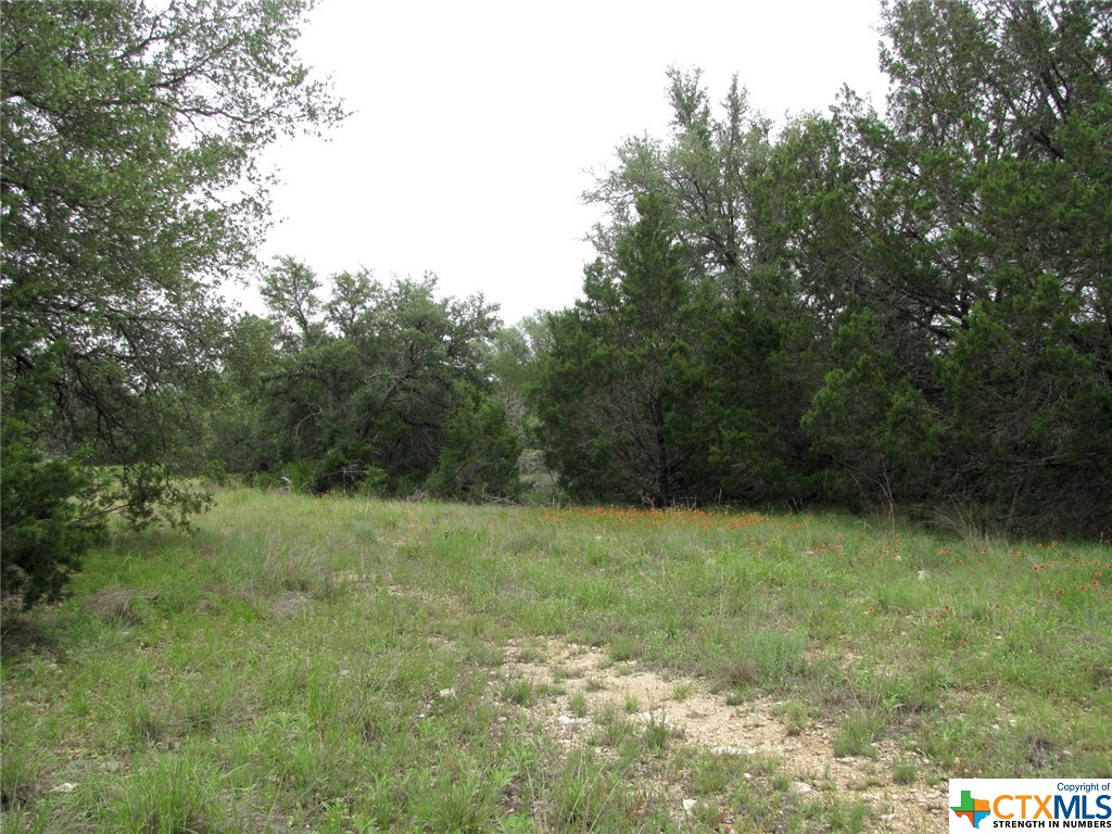 Lot 41 Phase 6 Pr42107 Property Photo 1
