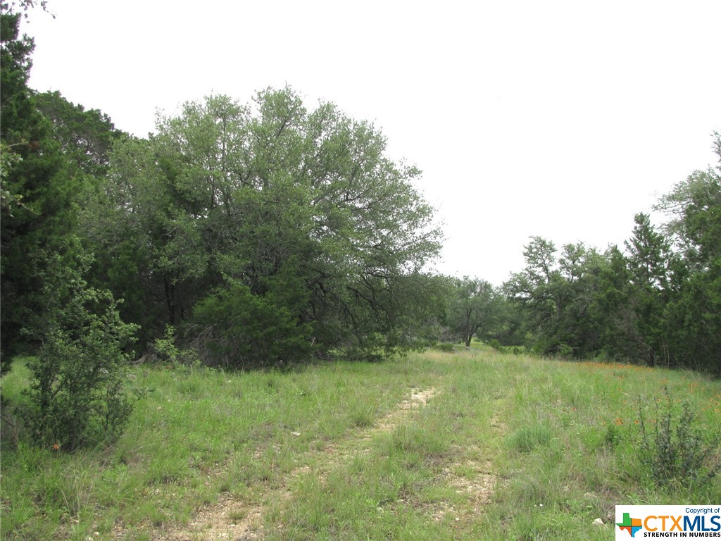 Lot 41 Phase 6 Pr42107 Property Photo 2