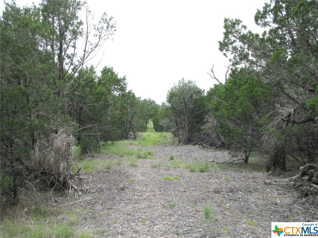 Lot 41 Phase 6 Pr42107 Property Photo 3