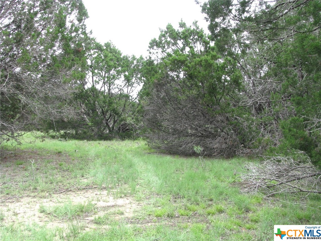 Lot 41 Phase 6 Pr42107 Property Photo 4