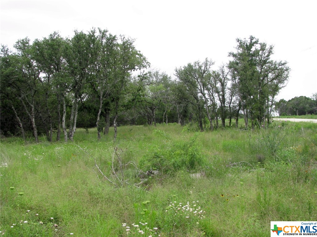 Lot 41 Phase 6 Pr42107 Property Photo 6