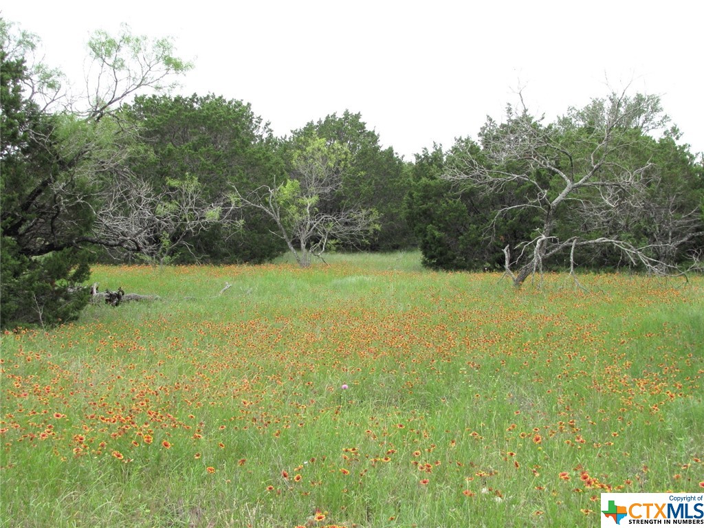 Lot 41 Phase 6 Pr42107 Property Photo 7