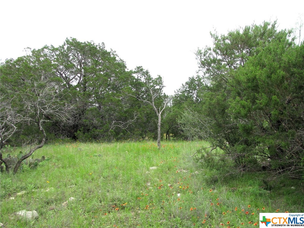 Lot 41 Phase 6 Pr42107 Property Photo 14