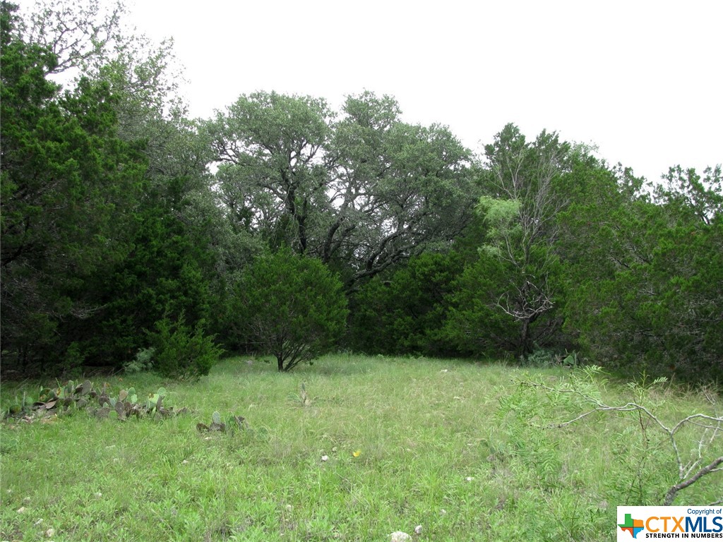 Lot 41 Phase 6 Pr42107 Property Photo 15