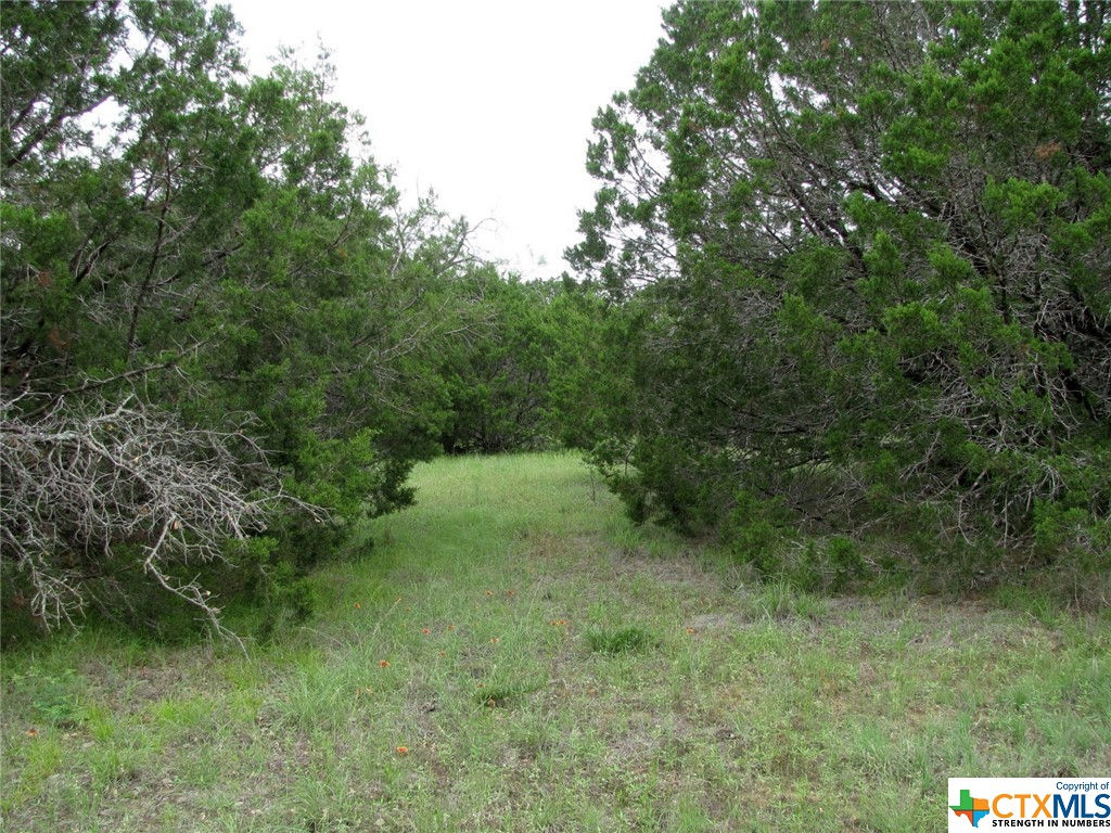 Lot 41 Phase 6 Pr42107 Property Photo 20