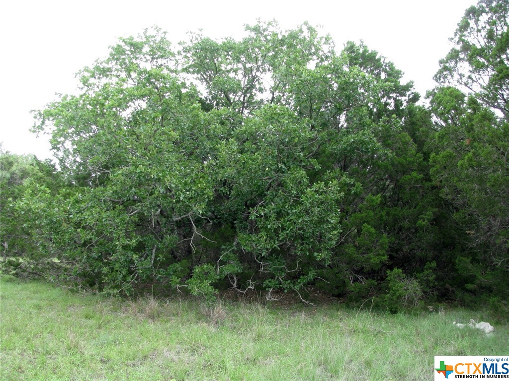 Lot 41 Phase 6 Pr42107 Property Photo 21