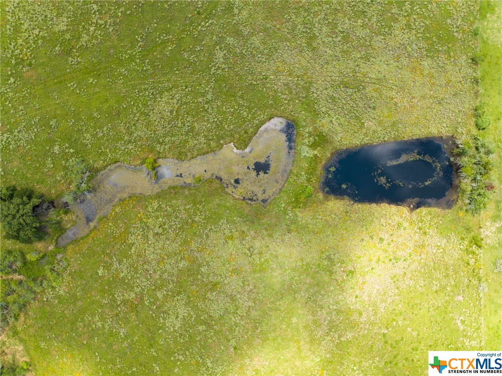 11 Acres County Road 329 Property Photo 9