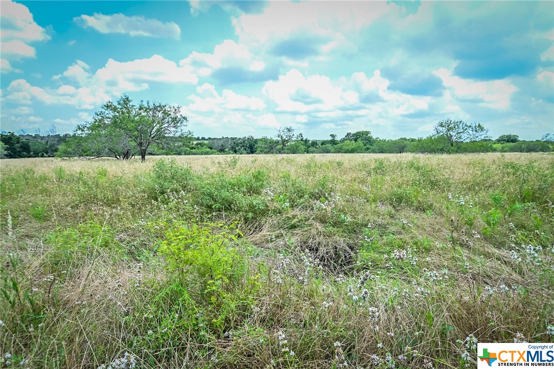000 County Road 447 Property Photo 6