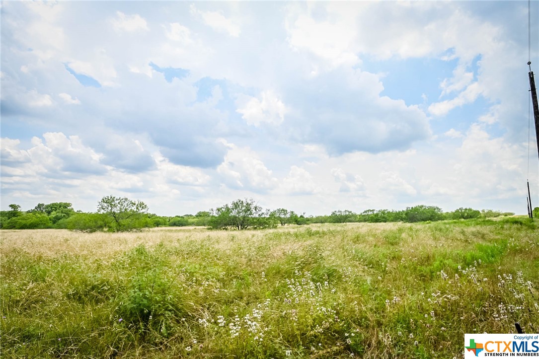 000 County Road 447 Property Photo 9