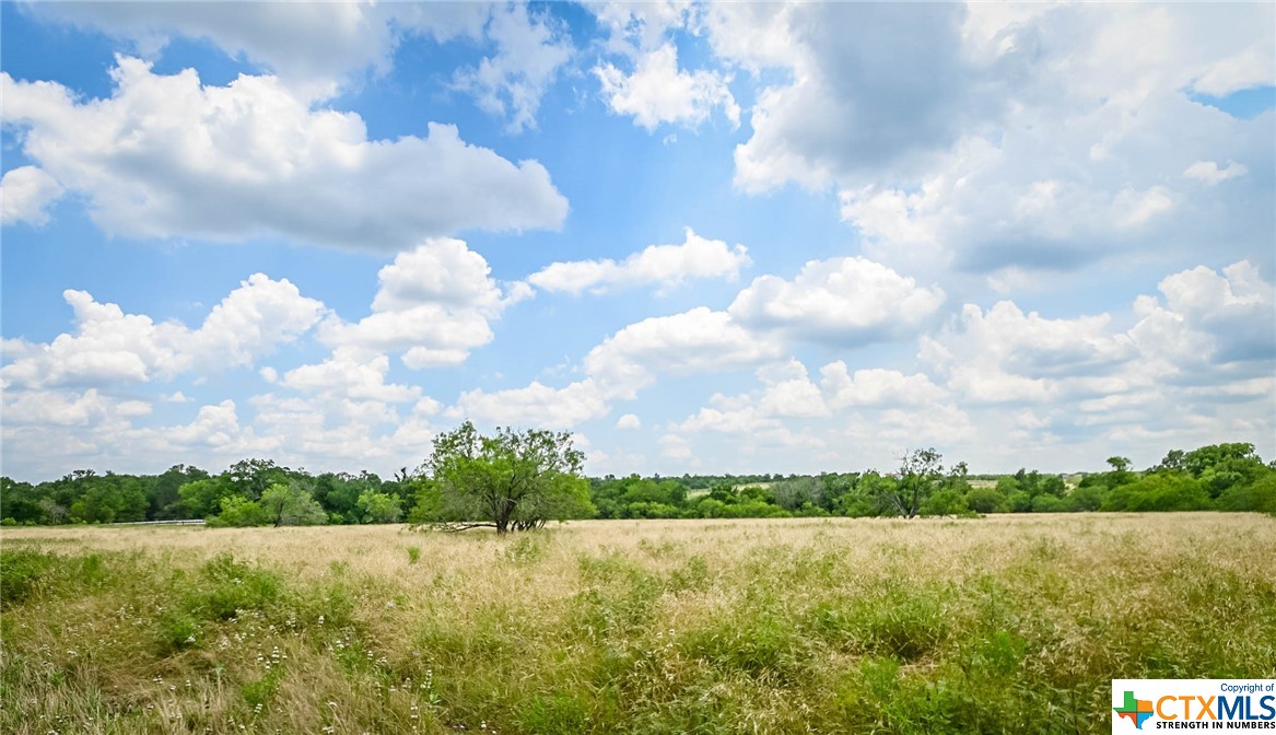 000 County Road 447 Property Photo 10