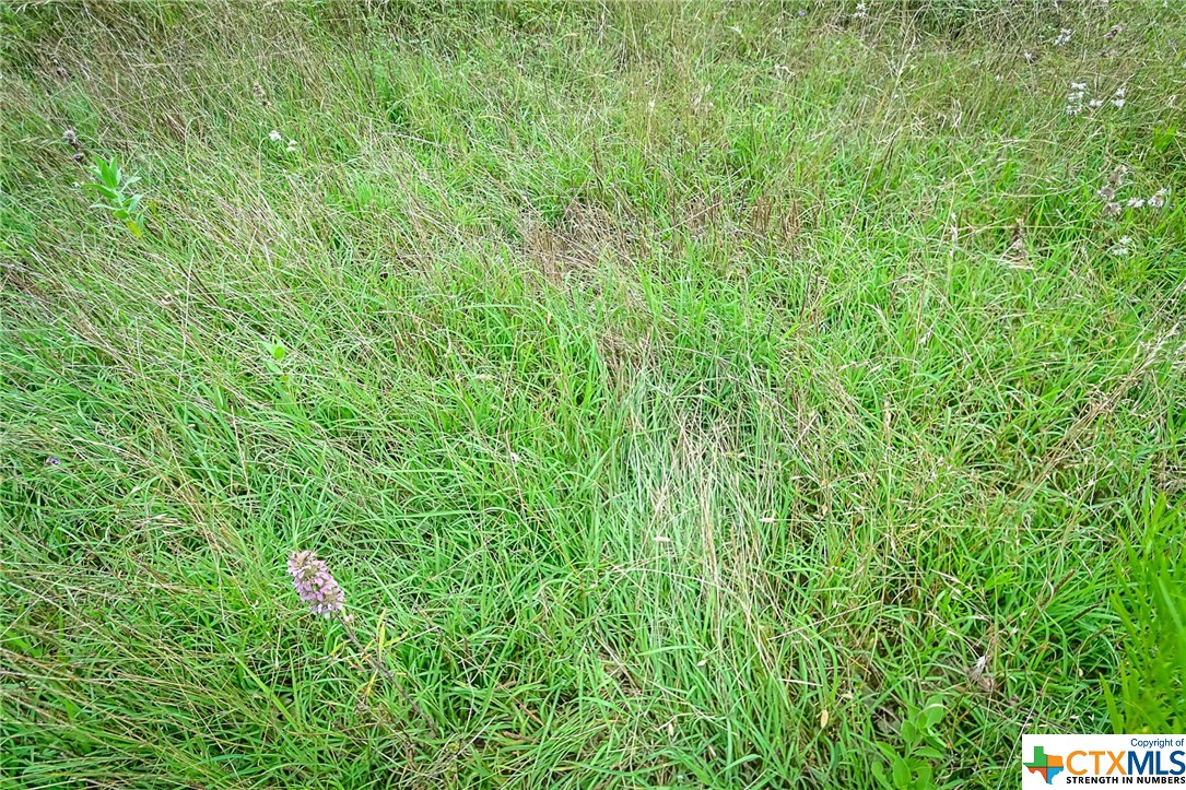 000 County Road 447 Property Photo 11