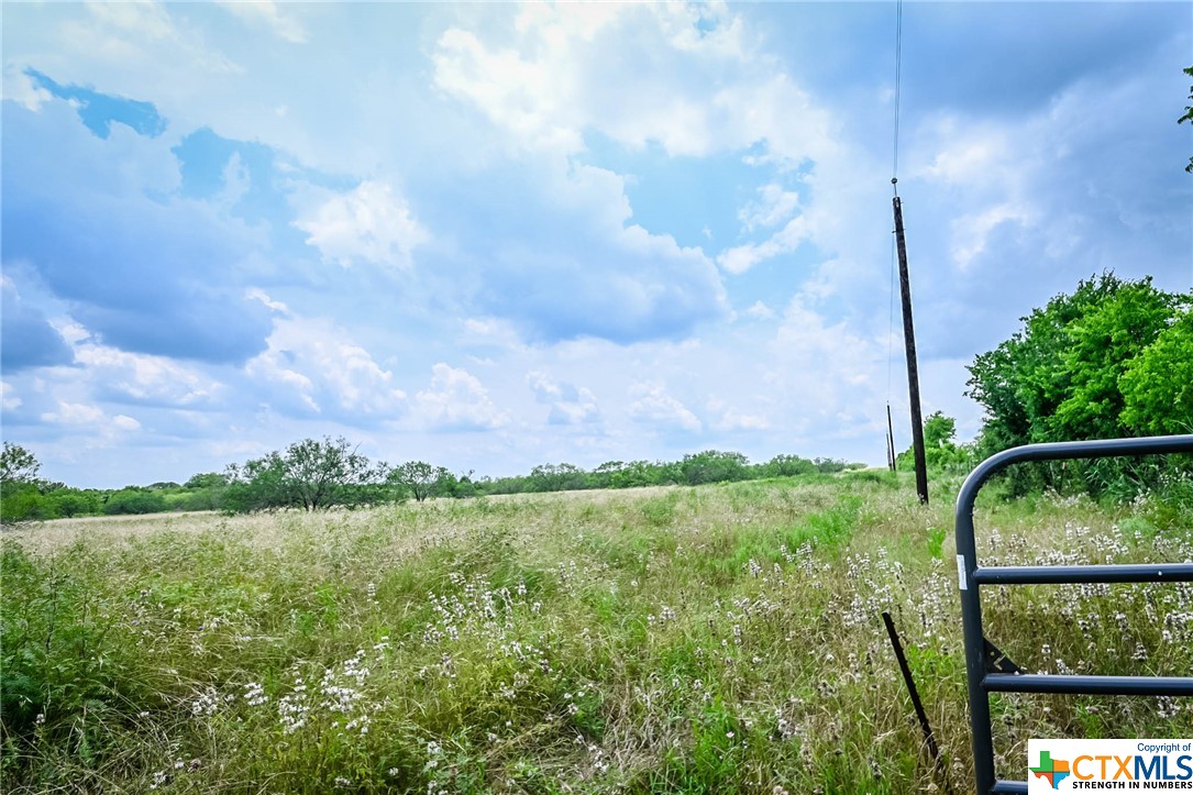 000 County Road 447 Property Photo 12
