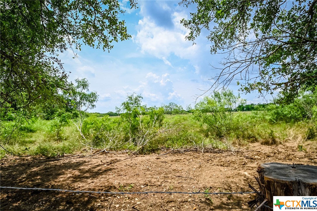 000 County Road 447 Property Photo 13