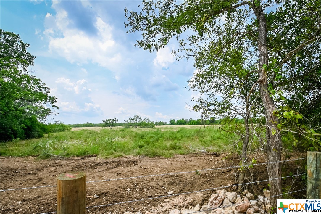 000 County Road 447 Property Photo 17