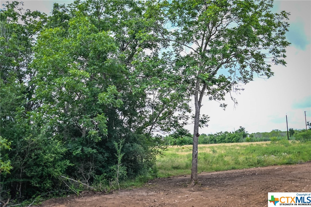 000 County Road 447 Property Photo 19