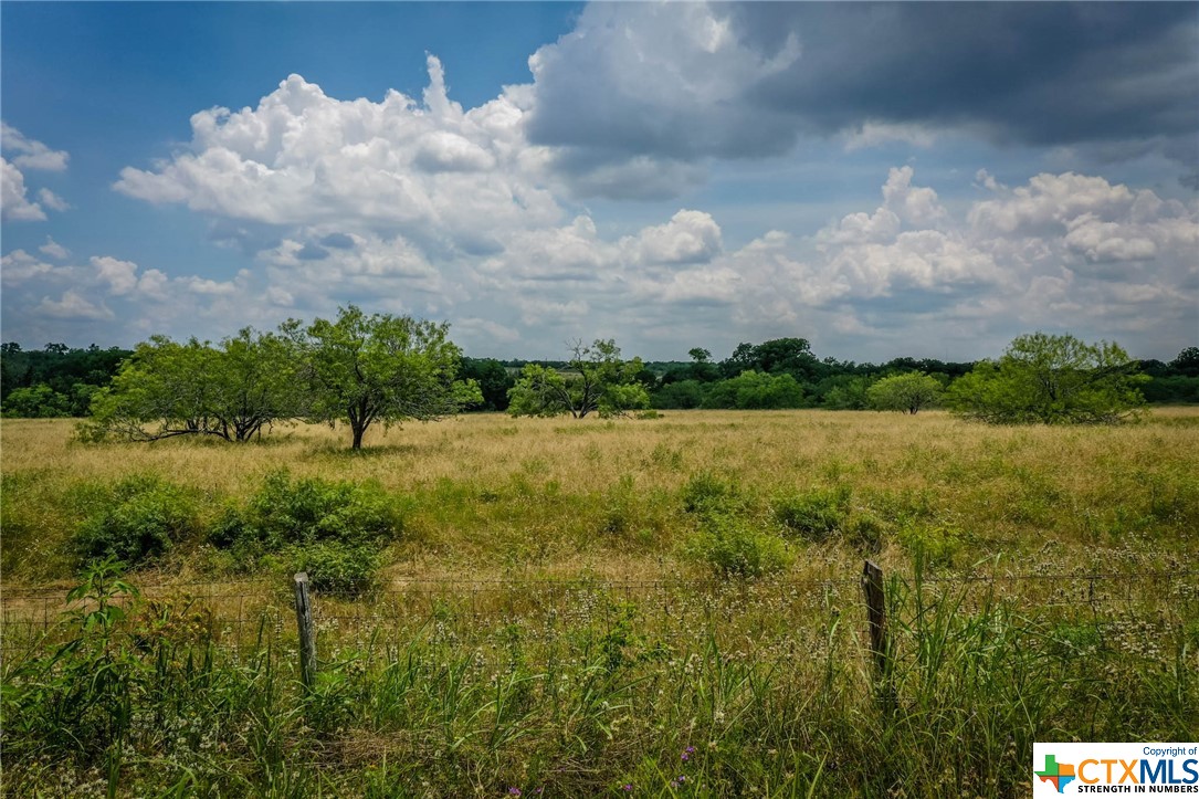 000 County Road 447 Property Photo 20