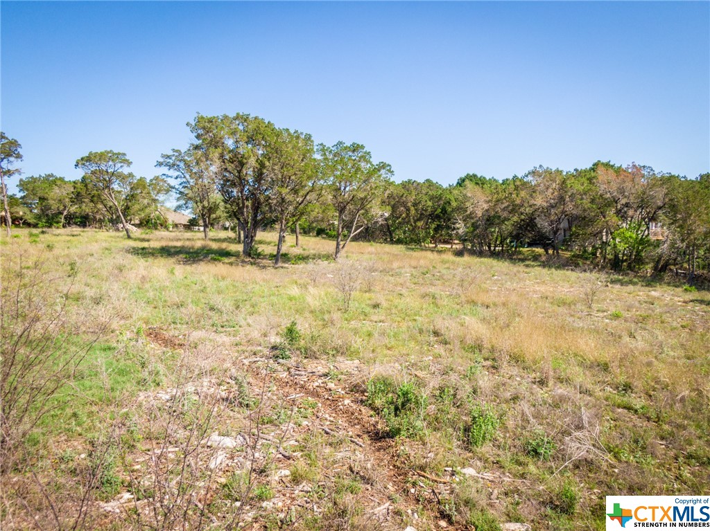 Tbd S Loop 337 Property Photo 8