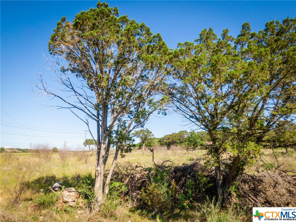 Tbd S Loop 337 Property Photo 10
