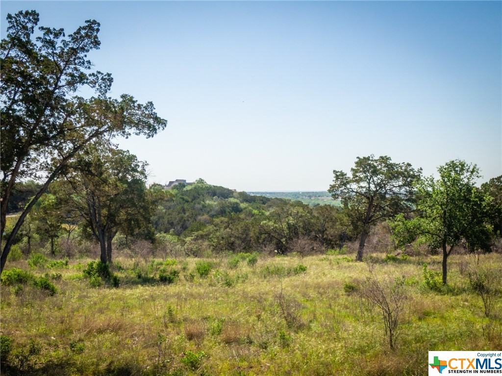 Tbd S Loop 337 Property Photo 13