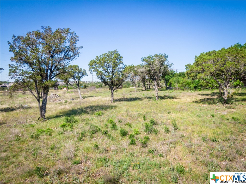 Tbd S Loop 337 Property Photo 14