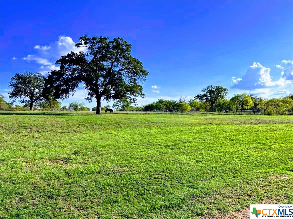 1831 County Rd 105 Property Photo 1