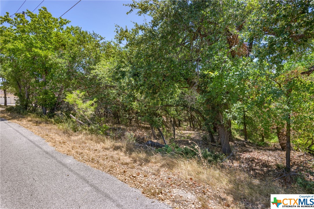 21465 Lakefront Drive Property Photo 3