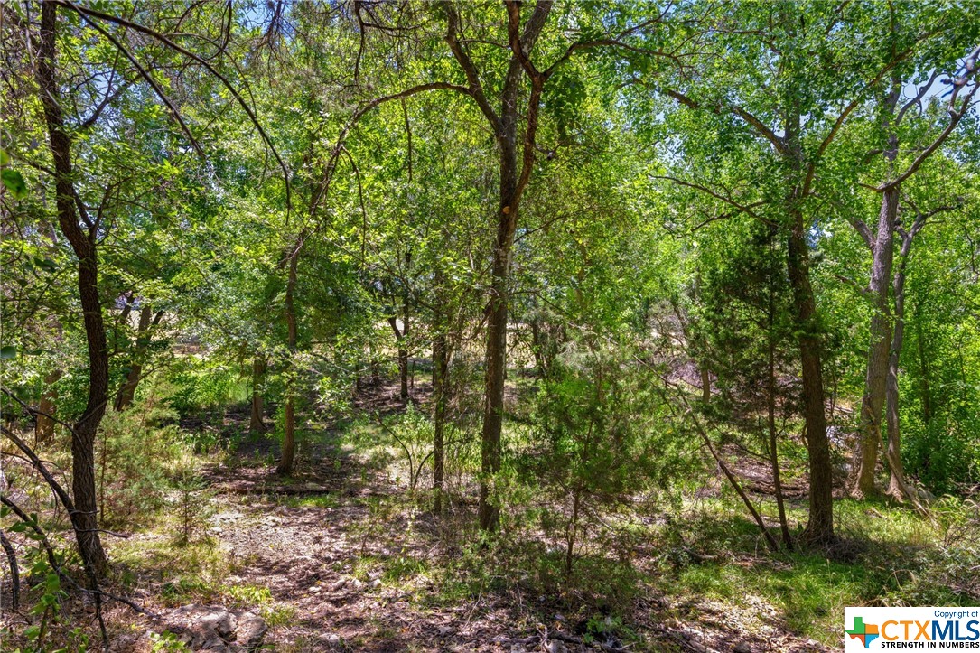 21465 Lakefront Drive Property Photo 6
