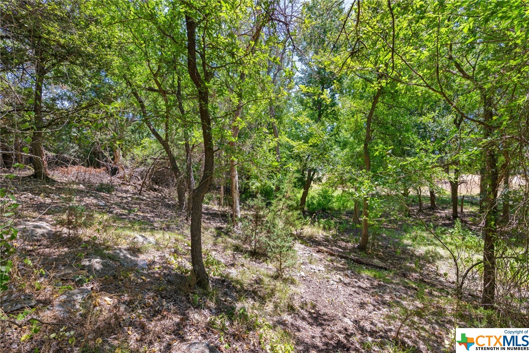 21465 Lakefront Drive Property Photo 8