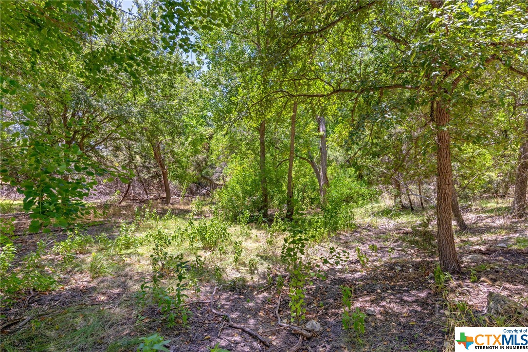 21465 Lakefront Drive Property Photo 10