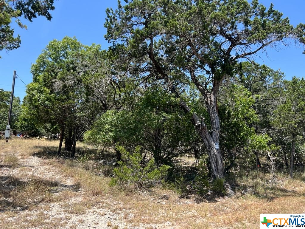 619 Cactus Flower Property Photo 1