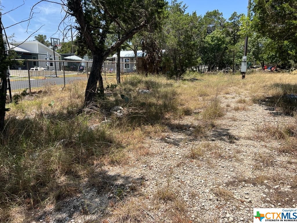 619 Cactus Flower Property Photo 3