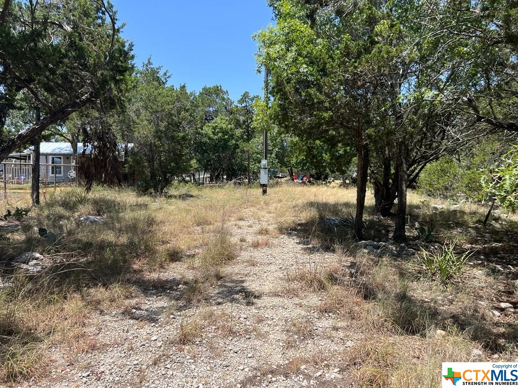619 Cactus Flower Property Photo 5