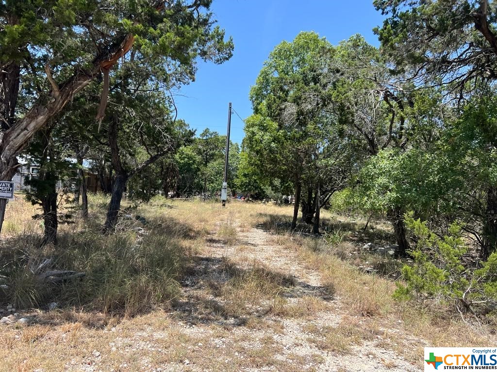 619 Cactus Flower Property Photo 6