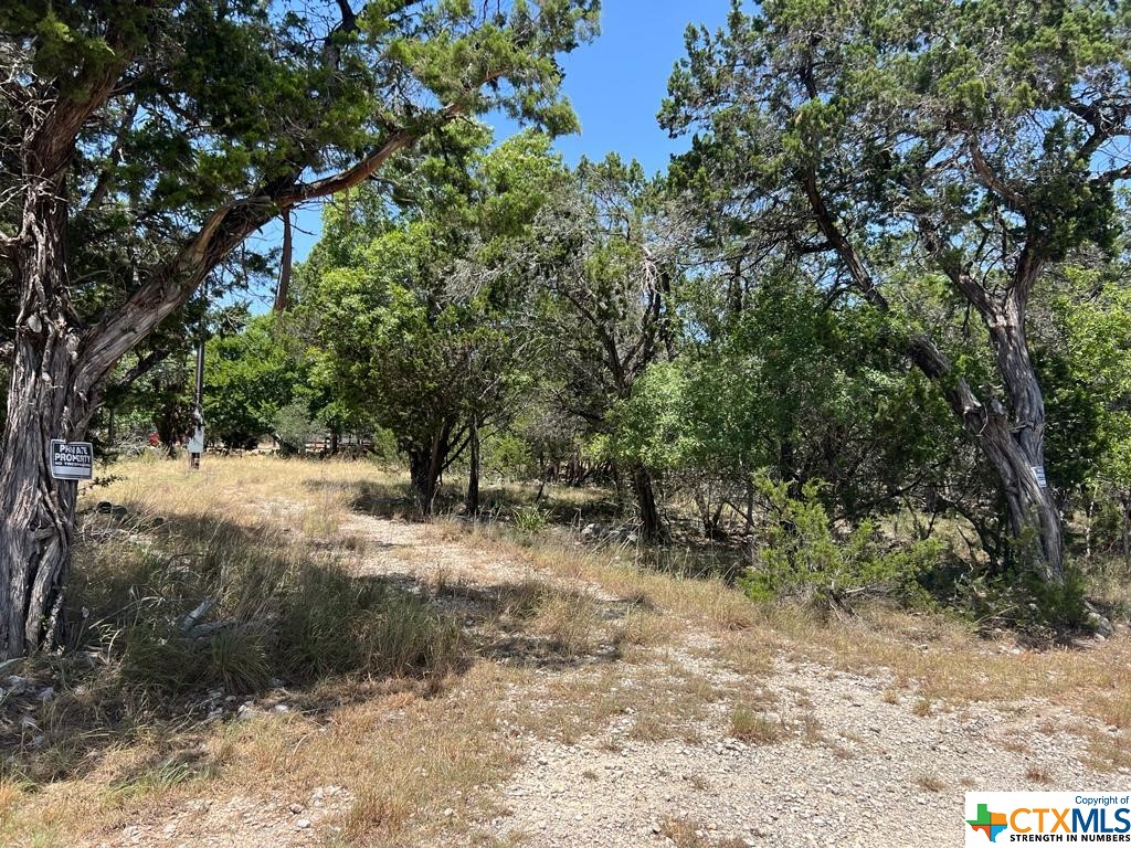 619 Cactus Flower Property Photo 7
