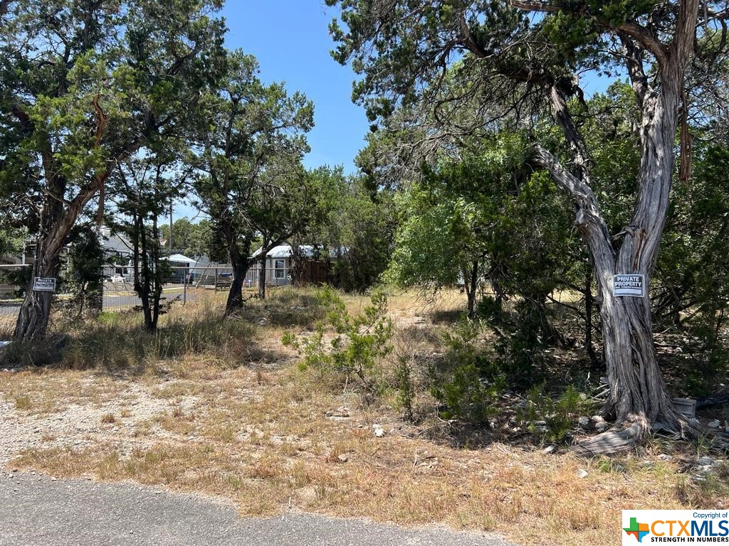 619 Cactus Flower Property Photo 8
