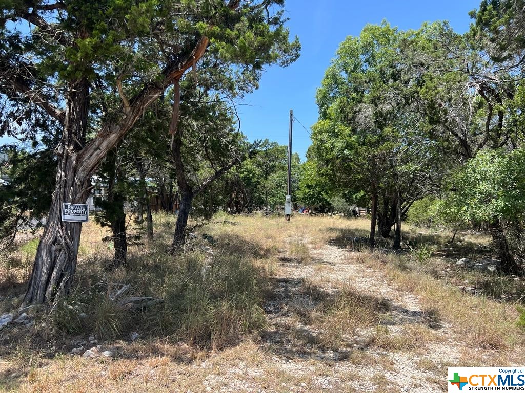 619 Cactus Flower Property Photo 11
