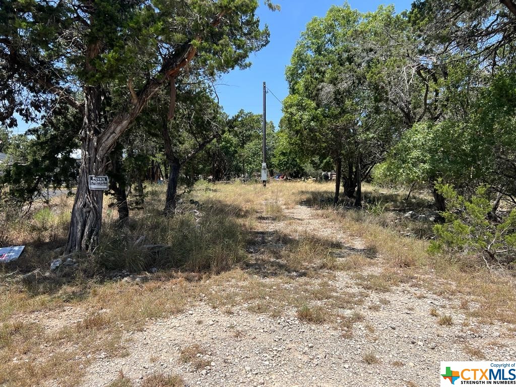 619 Cactus Flower Property Photo 12