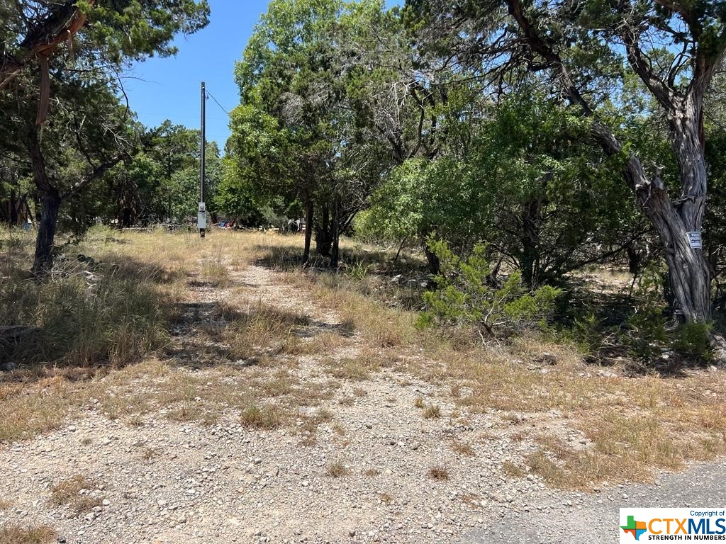 619 Cactus Flower Property Photo 13