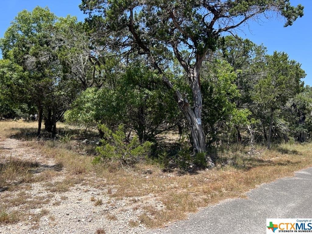 619 Cactus Flower Property Photo 14
