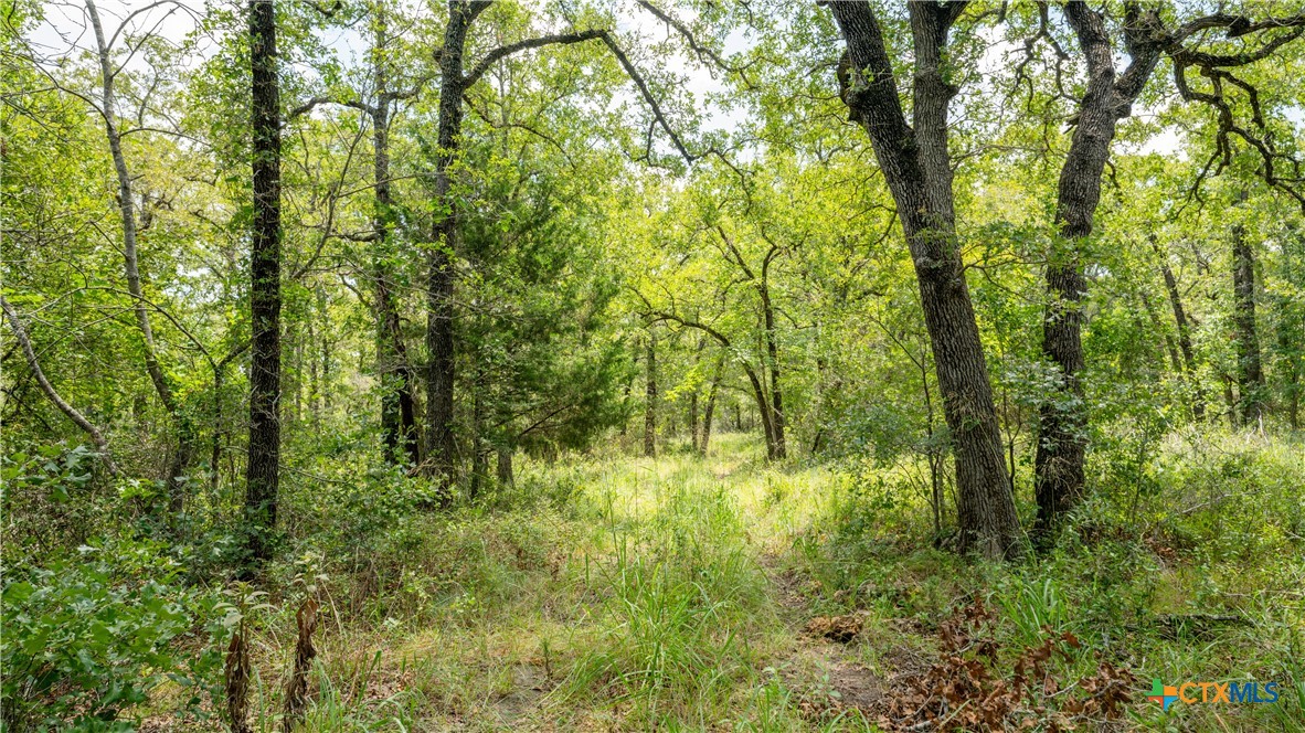 418-b County Road 405 Property Photo 4