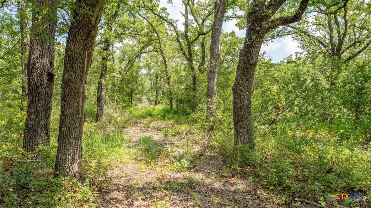 418-b County Road 405 Property Photo 6