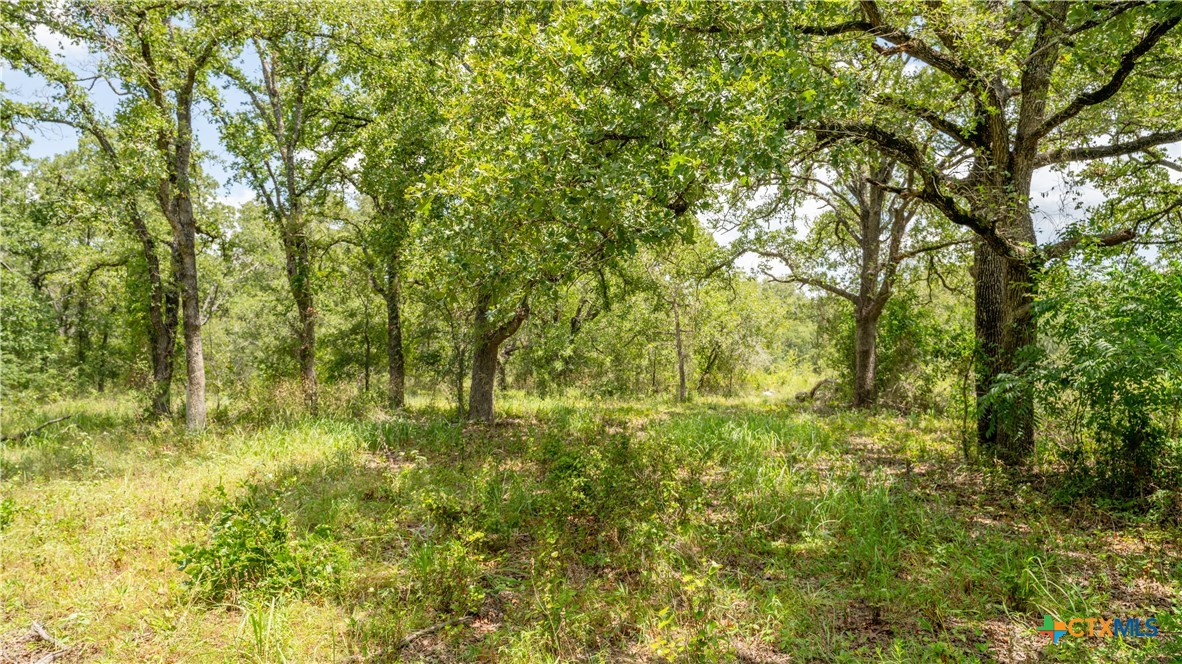 418-b County Road 405 Property Photo 7