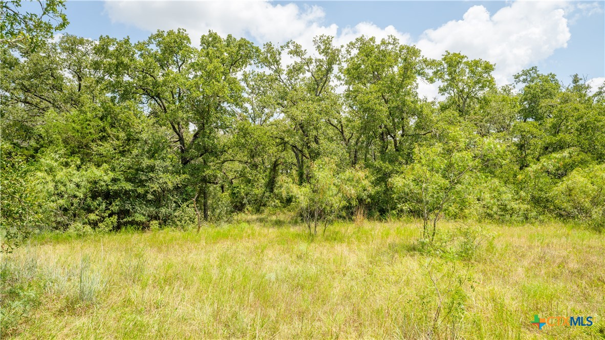 418-b County Road 405 Property Photo 8